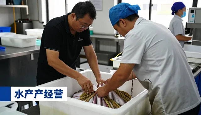 的企业中的农业咨询服务应用经验分享